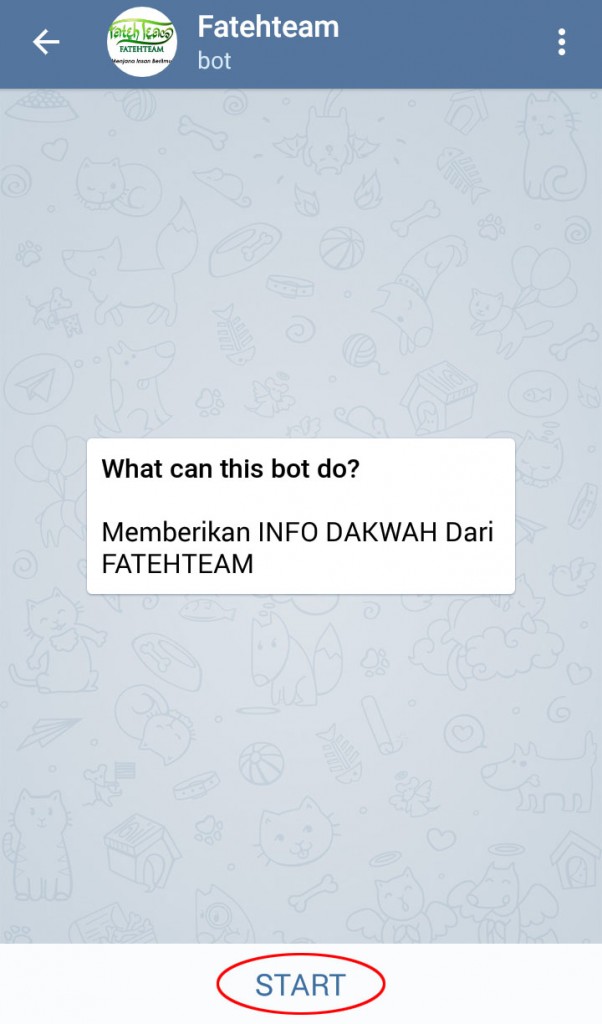 Telegram Bot START2