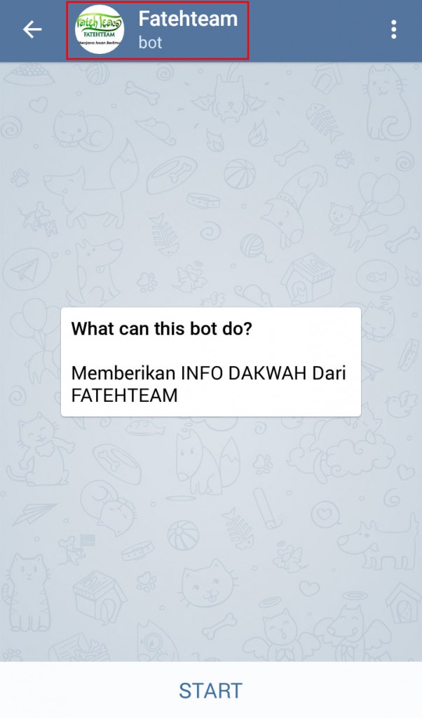 Telegram Bot START3